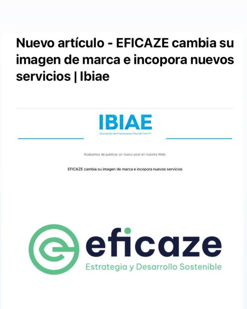 WhatsApp Image 2022 10 25 at 12.25.58 PM