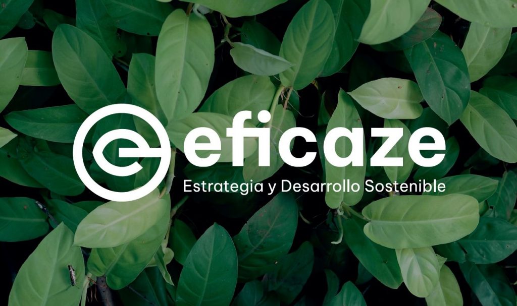 eficaze4 logotipo