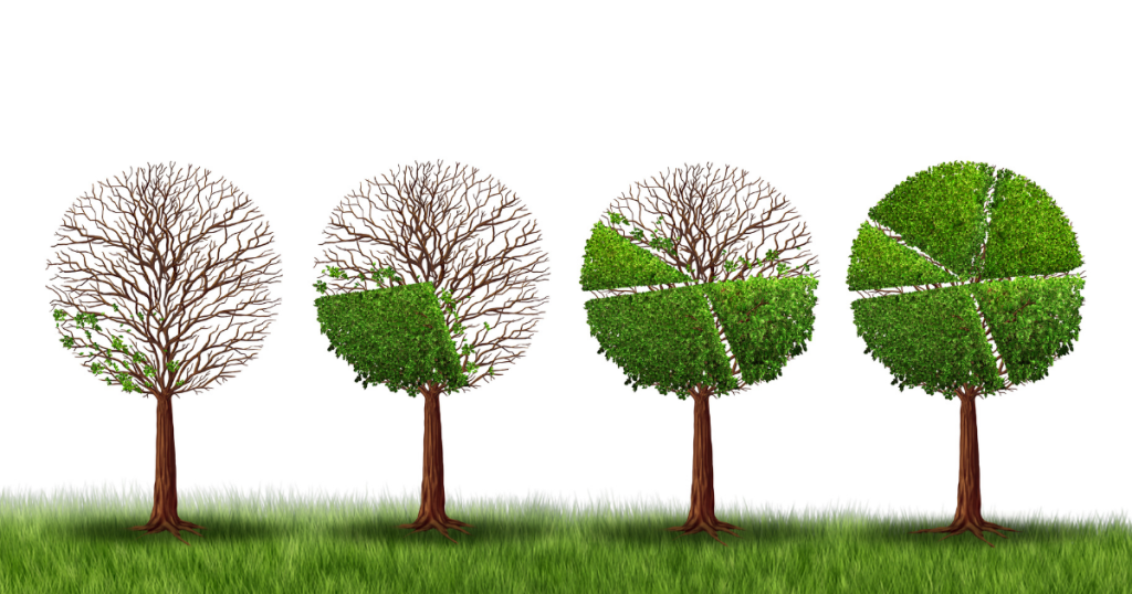 05 08 5 empresas de economia circular que estan haciendo un mundo mejor