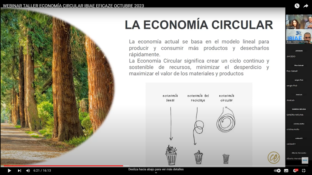 webinar presentacion cursoo